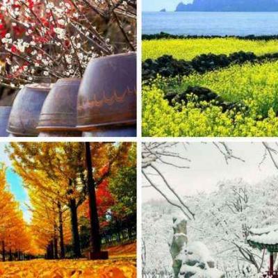 THỜI TIẾT HÀN QUỐC QUA 4 MÙA