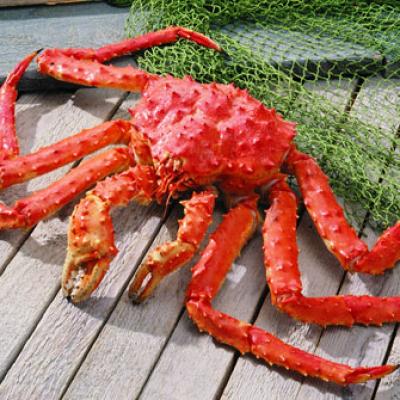 ĂN KING CRAB Ở NORYANGJIN – CHỢ HẢI SẢN LỚN NHẤT SEOUL