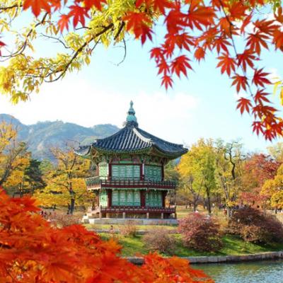 DU LỊCH HÀN QUỐC TỰ TÚC: NHỮNG MÓN ĂN ĐƯỜNG PHỐ GÂY SỐT Ở MYEONGDONG